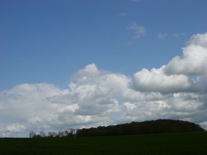 Betr. Bollendorf 08 (101)