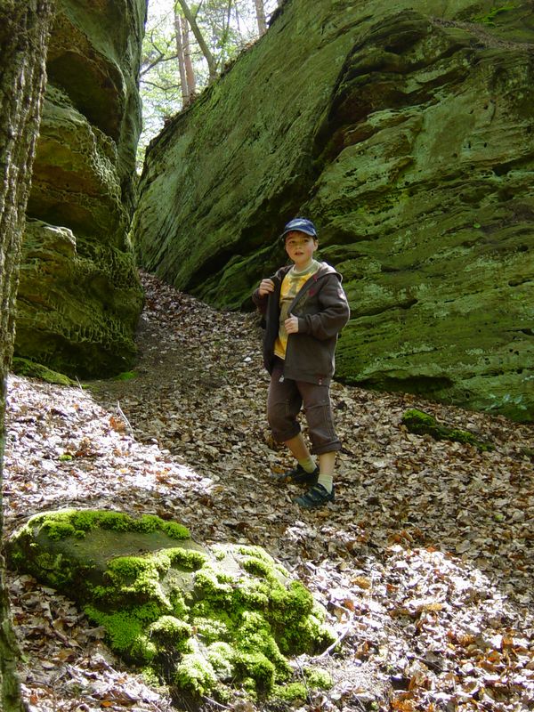Betr. Bollendorf 08 (110)