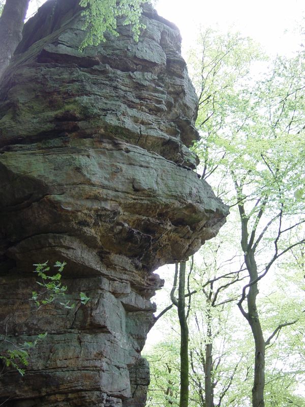 Betr. Bollendorf 08 (111)