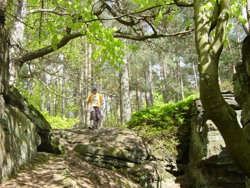 Betr. Bollendorf 08 (37)