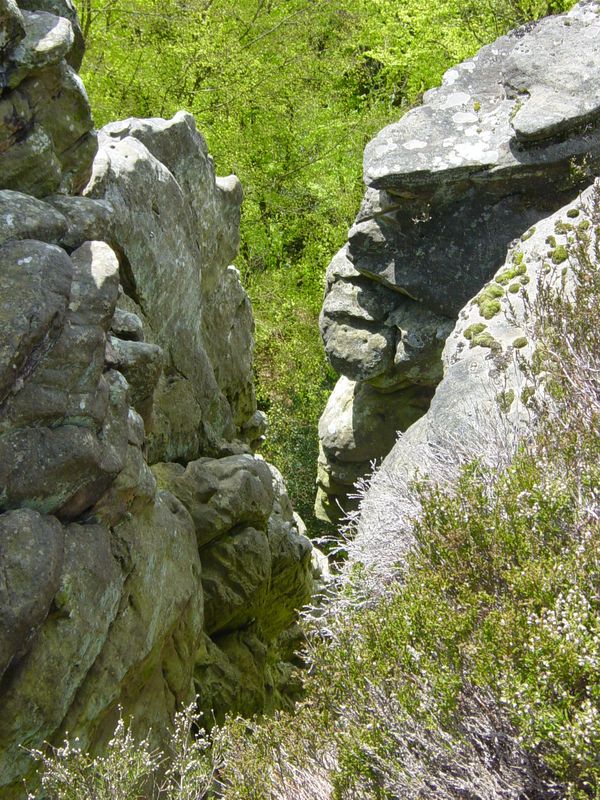 Betr. Bollendorf 08 (43)
