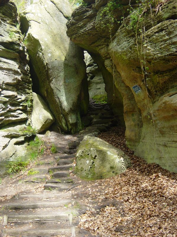 Betr. Bollendorf 08 (50)