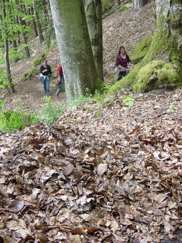 Betr. Bollendorf 08 (54)