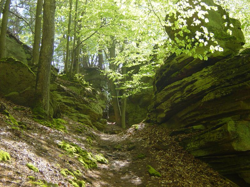 Betr. Bollendorf 08 (69)
