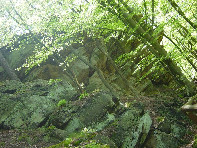 Betr. Bollendorf 08 (73)