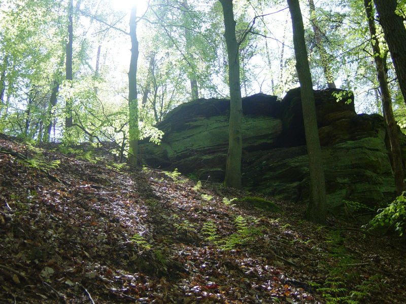 Betr. Bollendorf 08 (74)