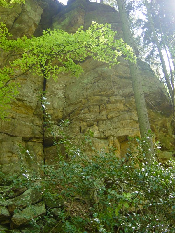 Betr. Bollendorf 08 (77)