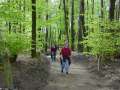 Betr. Bollendorf 08 (106)