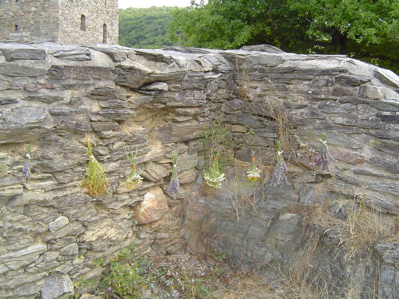 Schmidtburg (12)