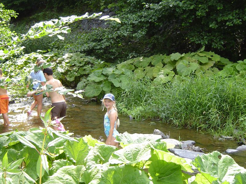 Schmidtburg (17)