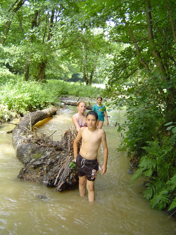 Schmidtburg (88)
