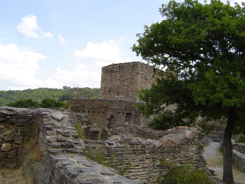 Schmidtburg (9)