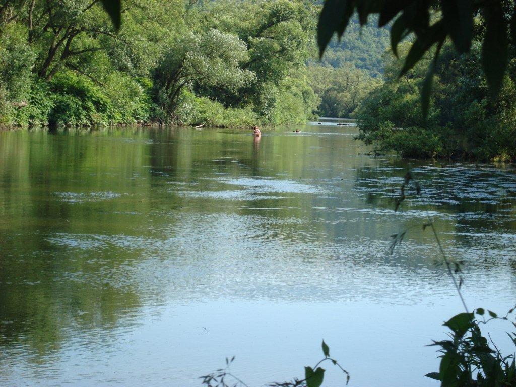 DSC02748