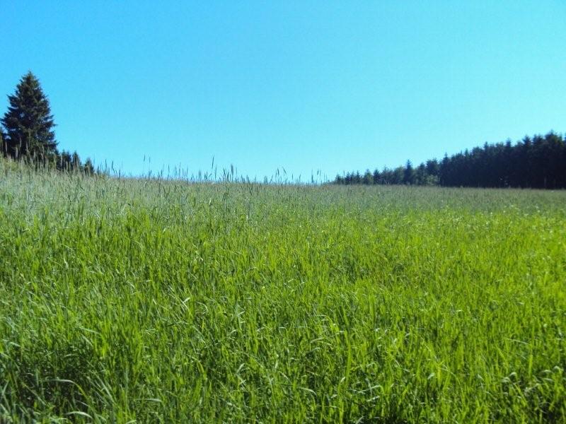 Freizeit '10 (57)