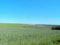 Freizeit '10 (39)