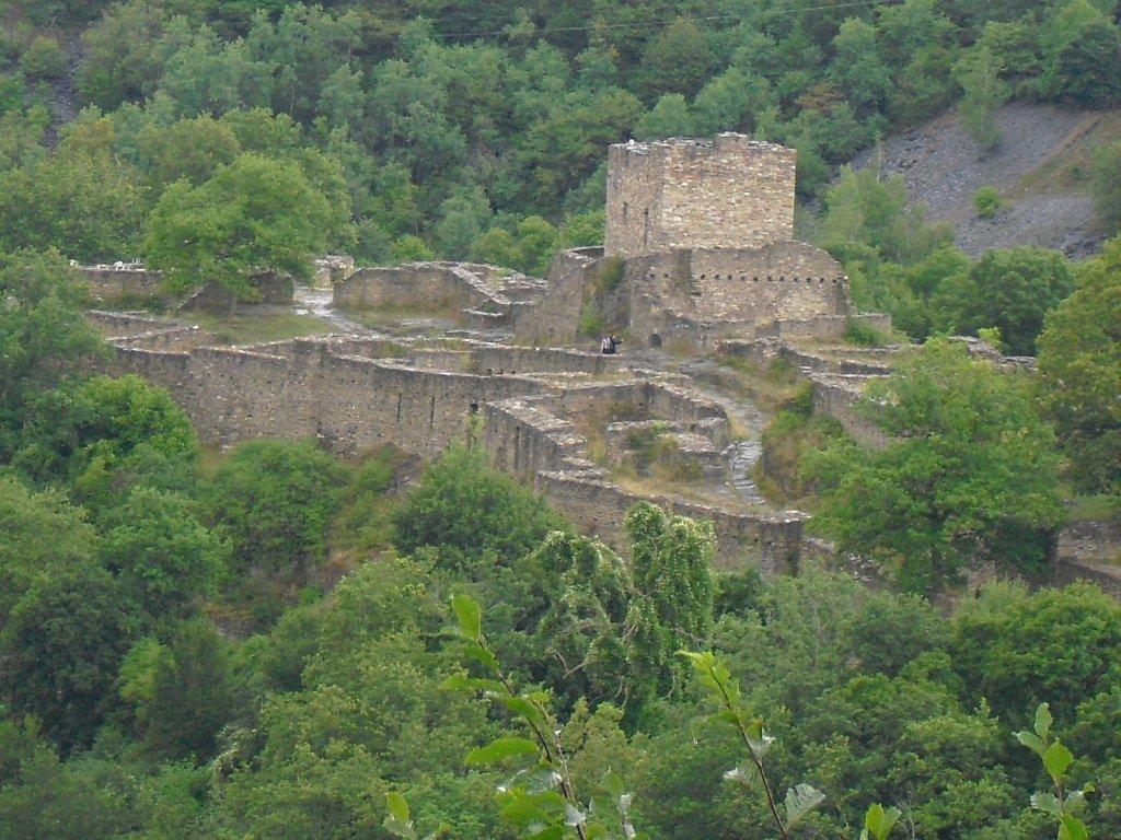 CIMG1256