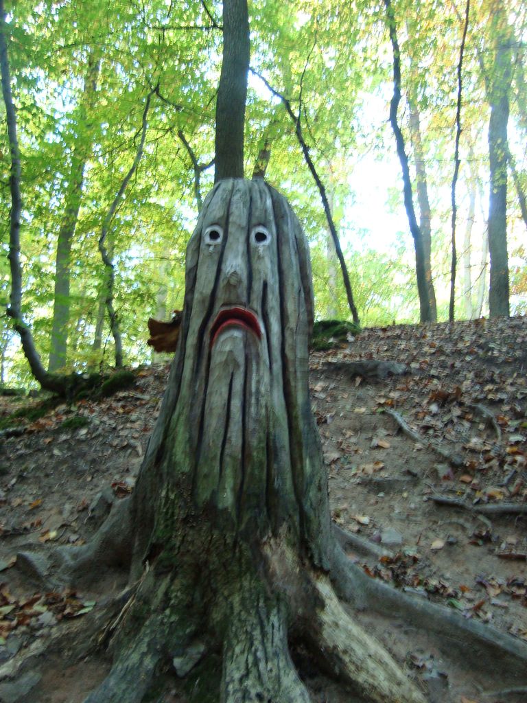 50km in 3 Tagen (49)