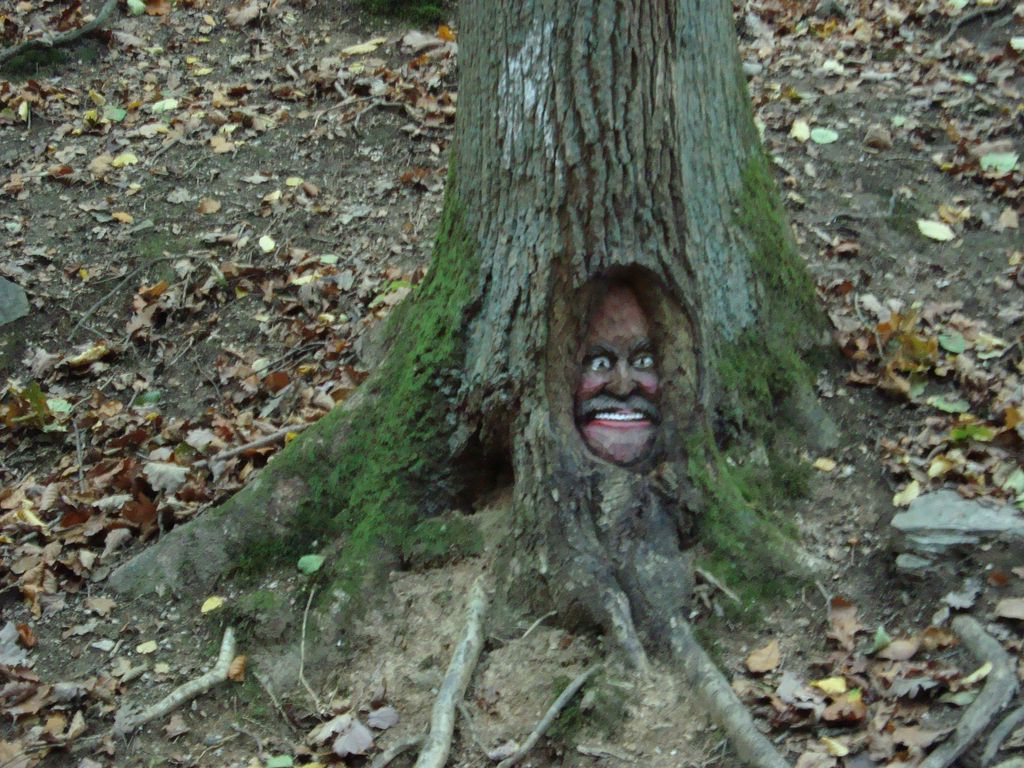 50km in 3 Tagen (58)