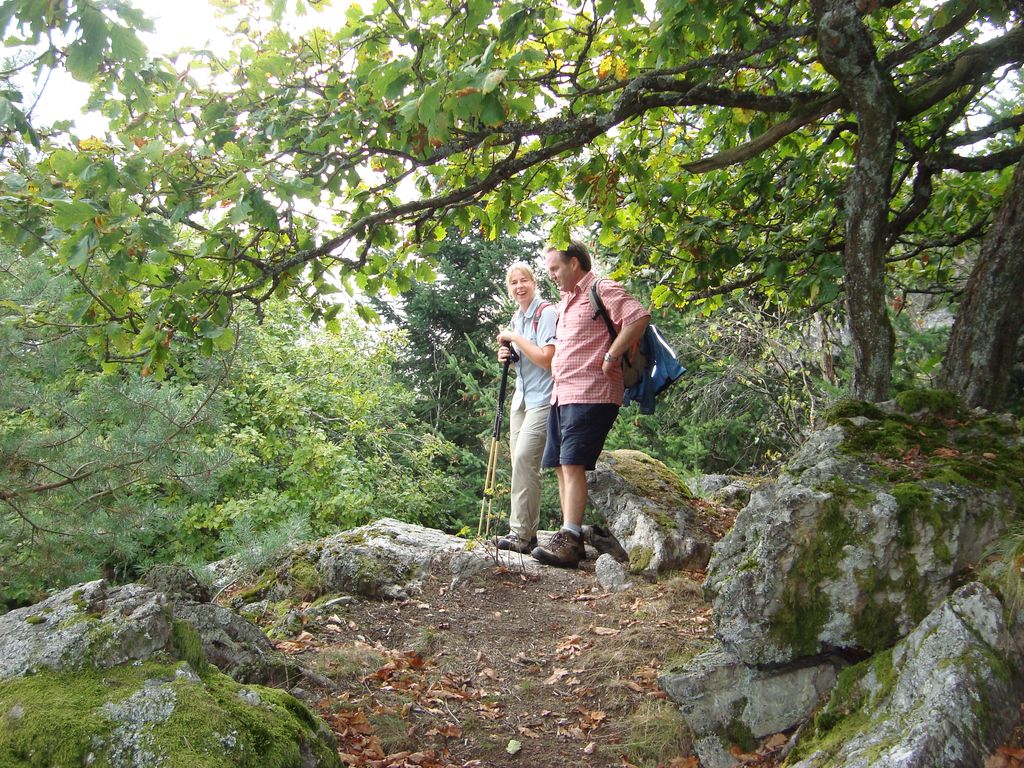 Schneppenbach-Koppenstein (10)