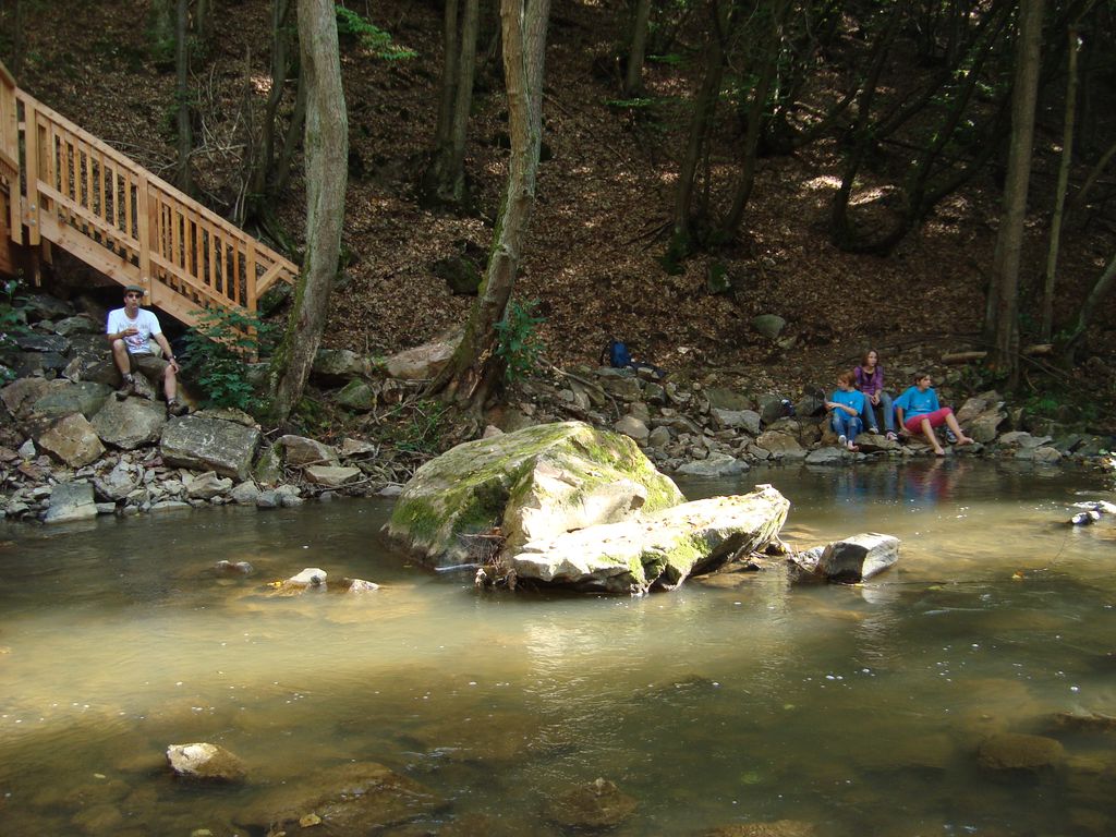 Schneppenbach-Koppenstein (17)