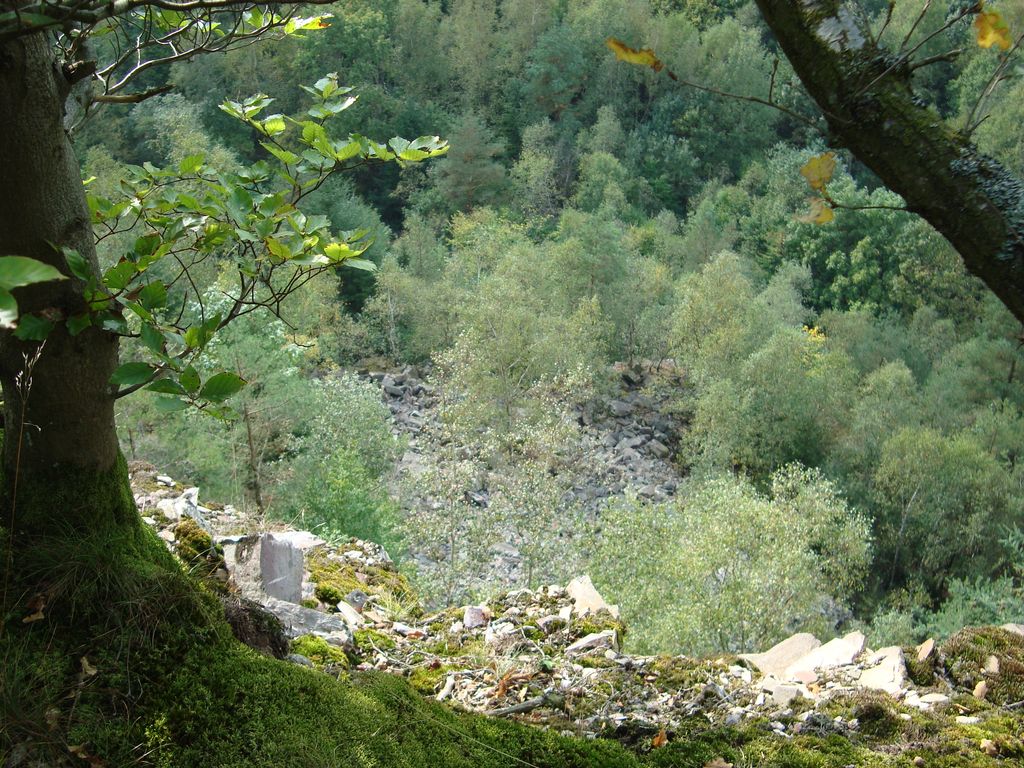 Schneppenbach-Koppenstein (29)