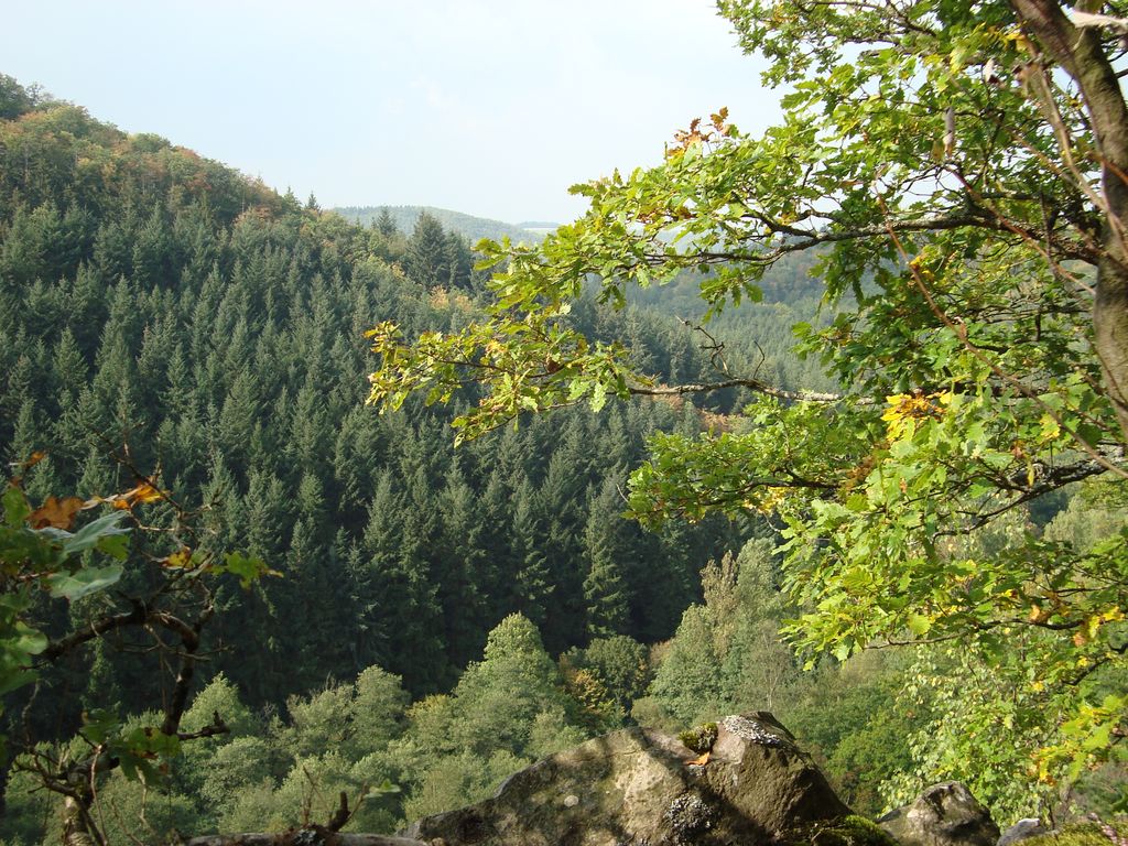 Schneppenbach-Koppenstein (30)