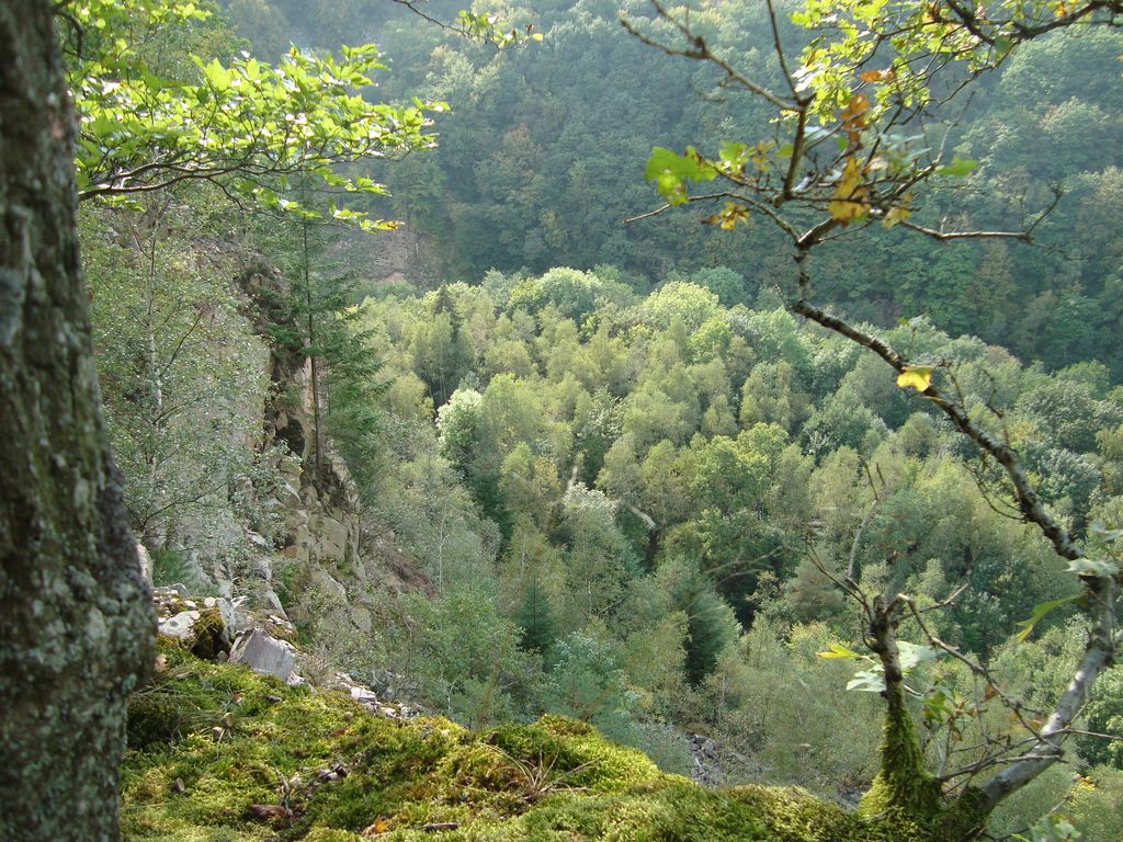 Schneppenbach-Koppenstein (32)