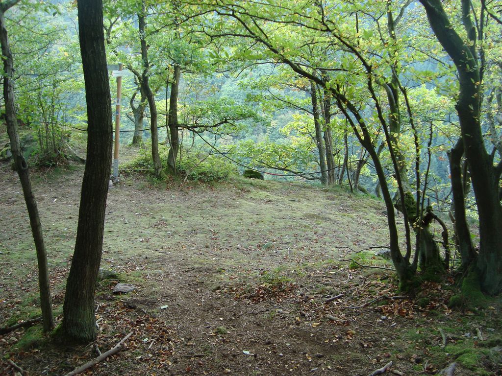 Schneppenbach-Koppenstein (36)