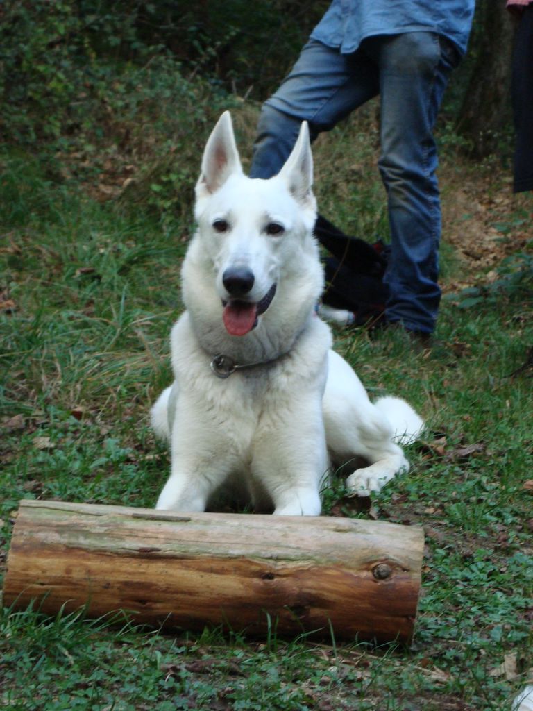 Schneppenbach-Koppenstein (47)
