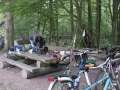 Opelwiese (10)