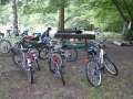 Opelwiese (8)