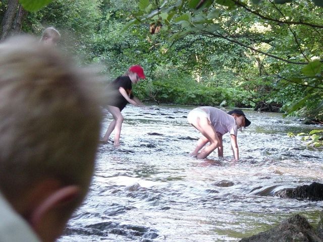 Schmittburg (12)