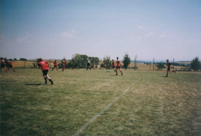 08