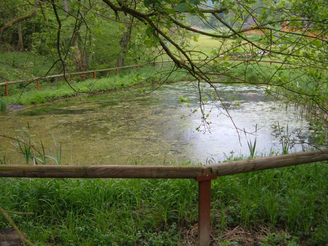 DSCF0535